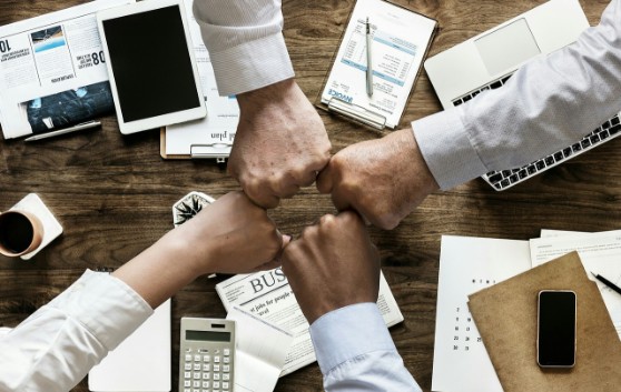 Equipo de Profesionales Profesionales